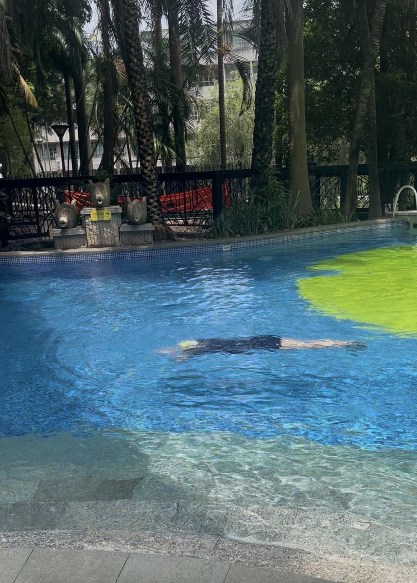 gogo_pomuchi's tweet photo. 息子が平泳ぎできるようになった🏊‍♀️
短期集中のマンツーマン10回レッスン。ほぼ毎日通って8回目には25メートルなんとか泳げるようになってた。
初日、足がつかなくてこのプールで軽く溺れたのに！すごい✨✨ https://t.co/lS7Px8V5Zt