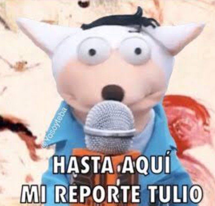 minsgirlie's tweet photo. Saben, no sé si esto va a sonar feo, pero creo que es la primera vez que lo confieso aquí para mí que los chicos hayan entrado al sm me hizo bien no quiero que piensen que estaba feliz porque se fueran, porque no fue así también me dolió muchísimo.

Pero con el tiempo entendí que esa distancia me ayudó a aprender a soltar un poco y a dejar de depender tanto emocionalmente de ellos. Antes dependía muchísimo de todo el contenido, de lo que hicieran o dejaran de hacer, y con el tiempo aprendí a vivir el fandom de una manera mucho más sana.

Por eso hoy, cuando pasa algo con lo que no estoy de acuerdo no siento que el mundo se me cae encima. Los quiero muchísimo pero también entiendo que son humanos que pueden equivocarse y tomar decisiones que no siempre nos van a gustar.

Y creo que muchas veces, sin darnos cuenta, idealizamos demasiado a los chicos. Quererlos también debería permitirnos verlos como personas reales, no como personas perfectas.