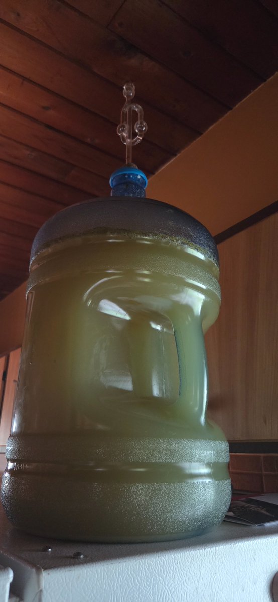 SimoBaron47's tweet photo. @DieselWolf4 I have an other batch in the making, this one will be flavored with dandelion and candied oranges! https://t.co/9Z8FMBQQ8d