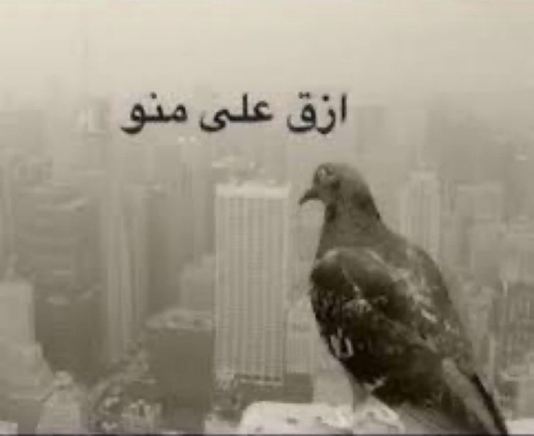 justsuu__'s tweet photo. مو نايمه الا 3 ساعات كله عشان تعديل النوم https://t.co/6PewndiEt4