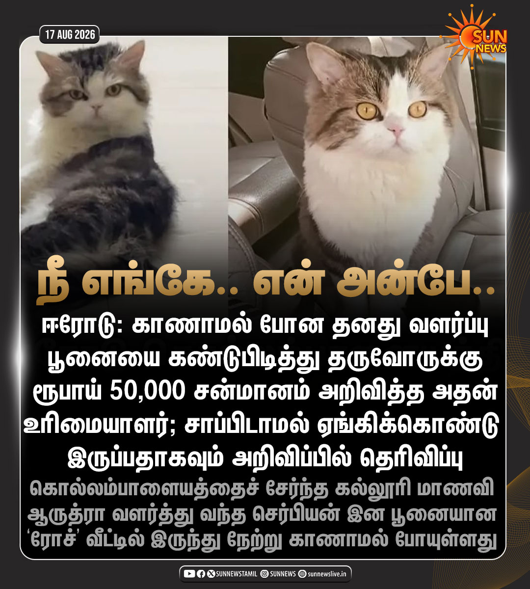 sunnewstamil's tweet photo. #NewsUpdate | காணாமல் போன வளர்ப்பு பூனை.. ரூ.50,000 சன்மானம் அறிவித்த உரிமையாளர்

#SunNews | #Erode | #PetCat https://t.co/ZVMjsDngDc
