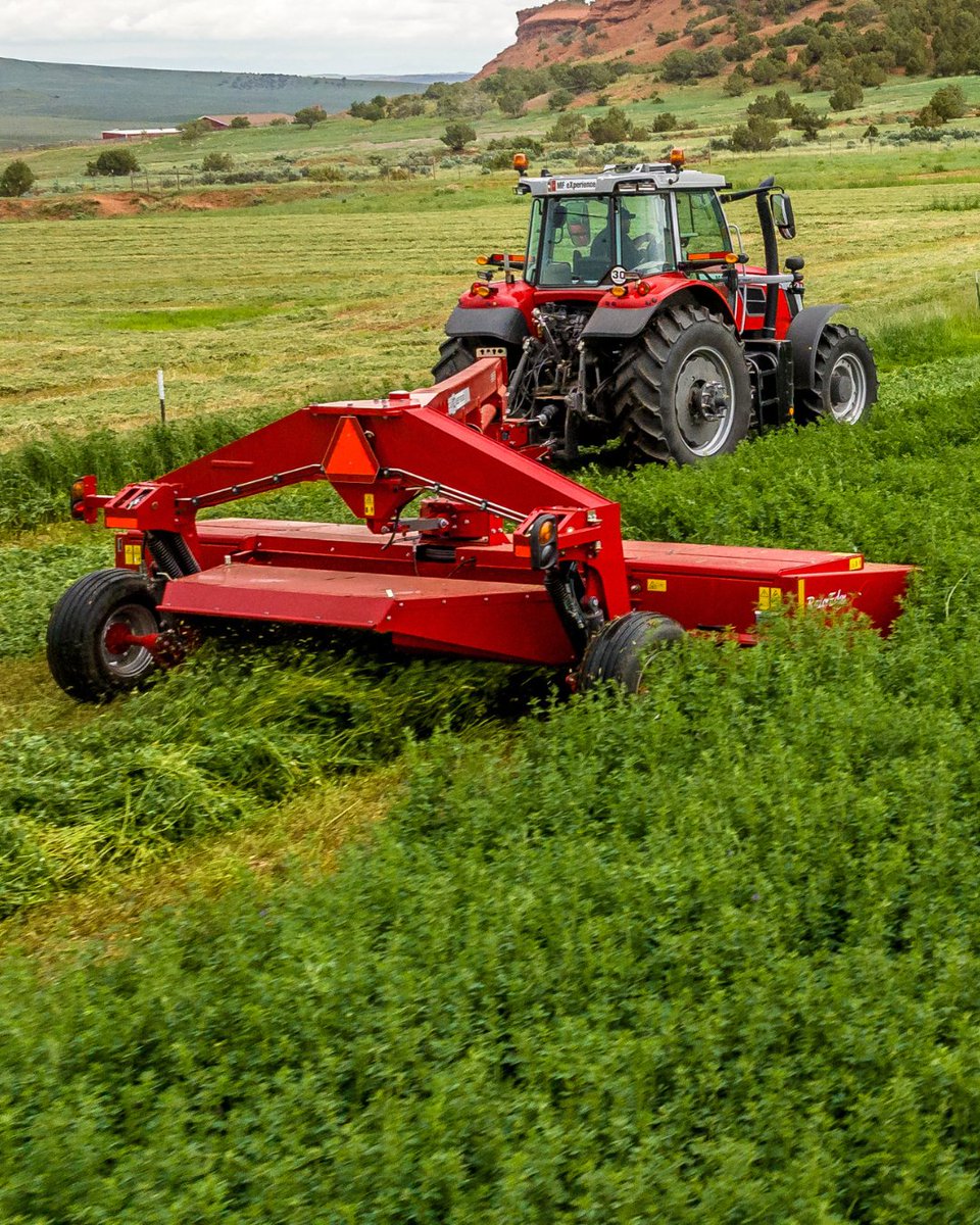MF_NorthAmerica's tweet photo. Buying a baler isn't a one-time purchase. It's a long time partnership. 

Hesston by Massey Ferguson balers deliver: reliable dealer network + proven resale value in the used market.

Better support. Better return. Better business.

#MasseyFerguson #LargeSquareBaler #RoundBaler https://t.co/fcps6bfq9K