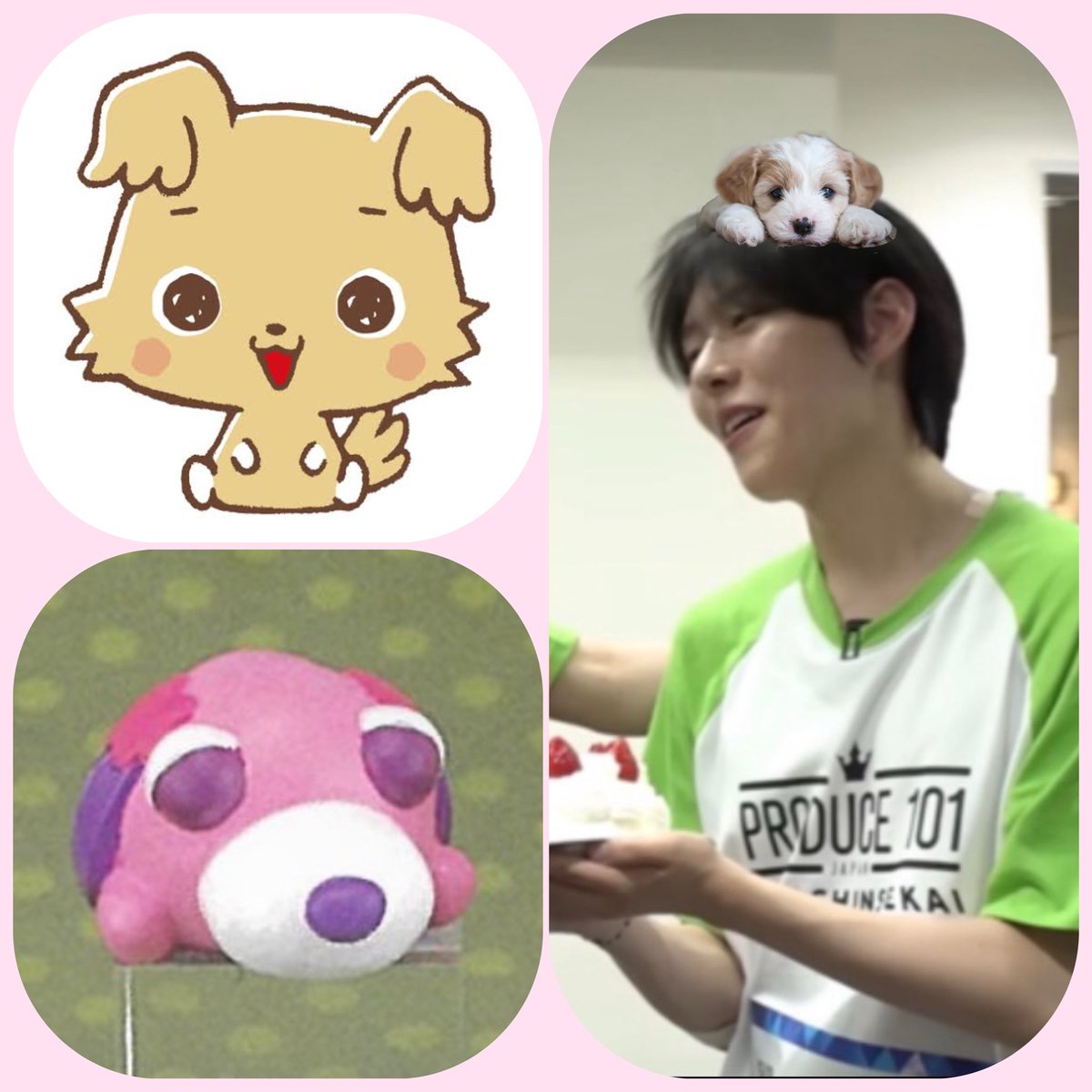 cc_ls2's tweet photo. Alt詳細♫* ♫* ꒰ ɞ̴̶̷ ·̮ ɞ̴̶̷ ꒱ **¸¸♬ ♫* *

 #KO1KEYZ  #KO1KEYZ好きな人と繋がりたい  #ツイ廃KO1LYと繋がりたい  #KO1LYと繋がりたい  #オ・シンヘン https://t.co/bKeyv2HX7d