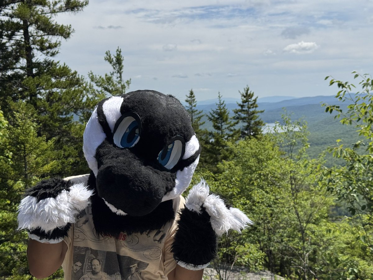 colliecentral's tweet photo. Call my Culdee the way I Fell down this mountain (Mt Chiliad F Incident) โฐ๏ธ
๐ธ @ChessieHusky
๐ซ owned by @SEGASONICDRVEIN
#fursuiteveryday #orca #furry #nichereferences #vanoss #ttte https://t.co/isBlMa4yrb