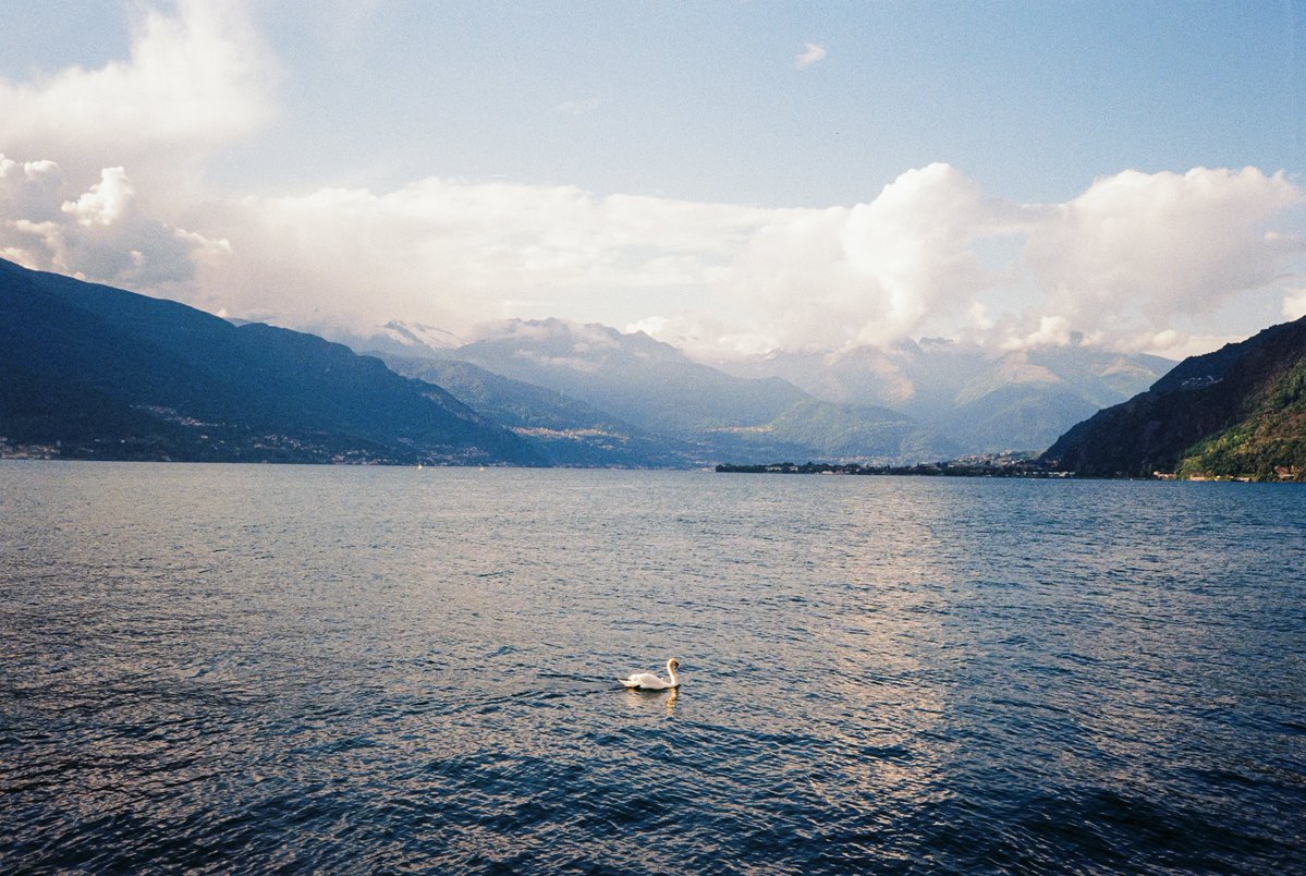 michaelboegl's tweet photo. Lake Como on 35mm film 🎞️ https://t.co/HkhUivoigI