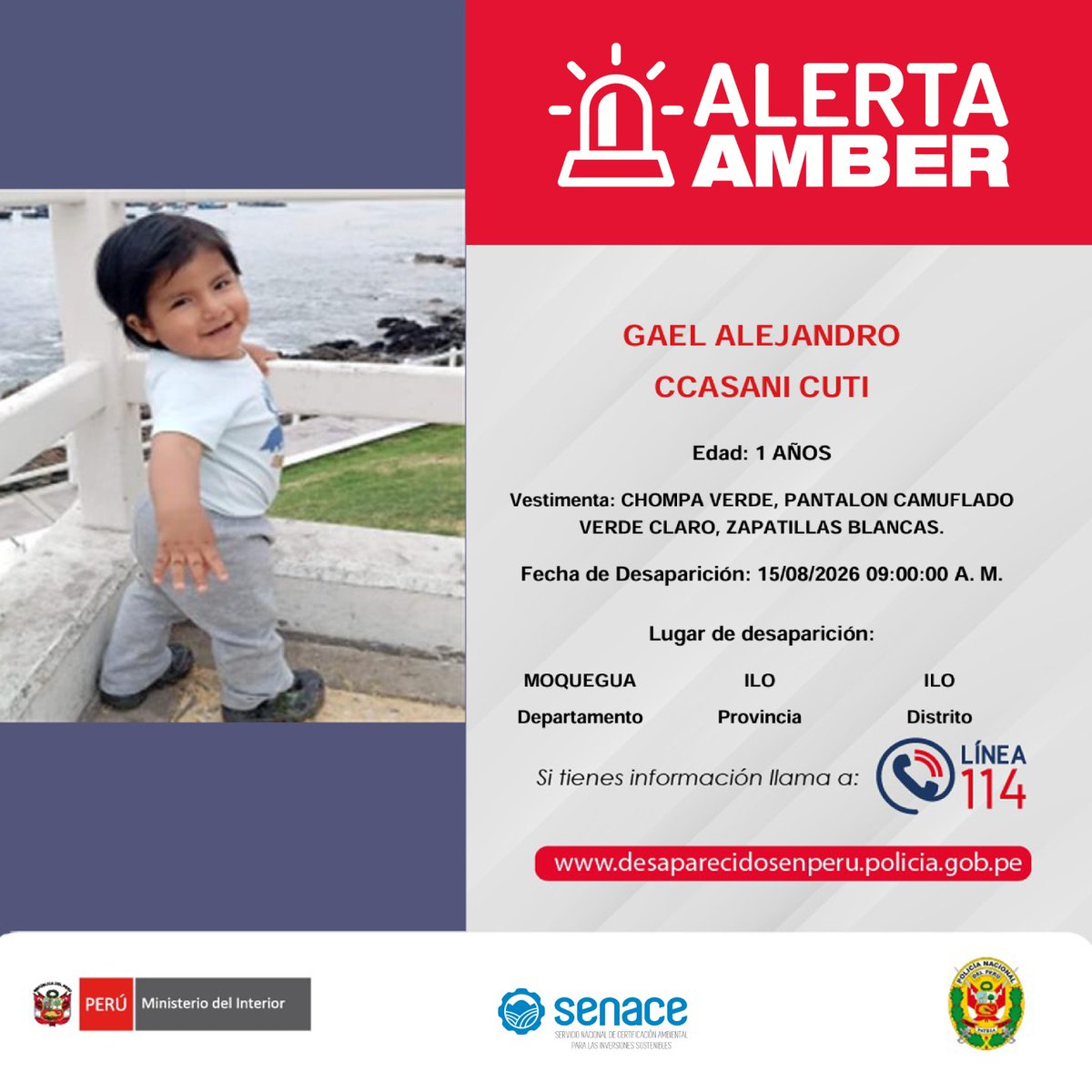 SenacePeru's tweet photo. 🚨 https://t.co/Dh9RJe6vBZ