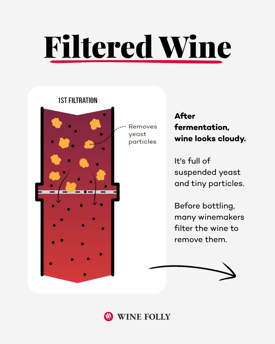 WineFolly's tweet photo. Ever spotted "unfiltered" on a wine label and assumed it meant better? The truth is a little “cloudy” (see what we did there)
After fermentation, wine is naturally cloudy with suspended yeast and tiny particles. From there, winemakers have two paths:
- Filter the wine to remove yeast and microorganisms before bottling.
- Skip filtration and let gravity do the work, allowing the solids to settle naturally before racking the clear wine off the lees.
Both approaches can produce exceptional wines.
Filtration is simply one of many decisions a winemaker makes alongside choices like: fermentation temperature, aging vessels, and harvest timing. Some producers filter for clarity and stability. Others prefer minimal intervention and rely on time instead.
Swipe through to see how filtered and unfiltered wines are made, then tell us:
Which do you reach for more often—filtered or unfiltered?
Learn more at https://t.co/1kQc7prXJr
#filteredwine #unfilteredwine #winemaking