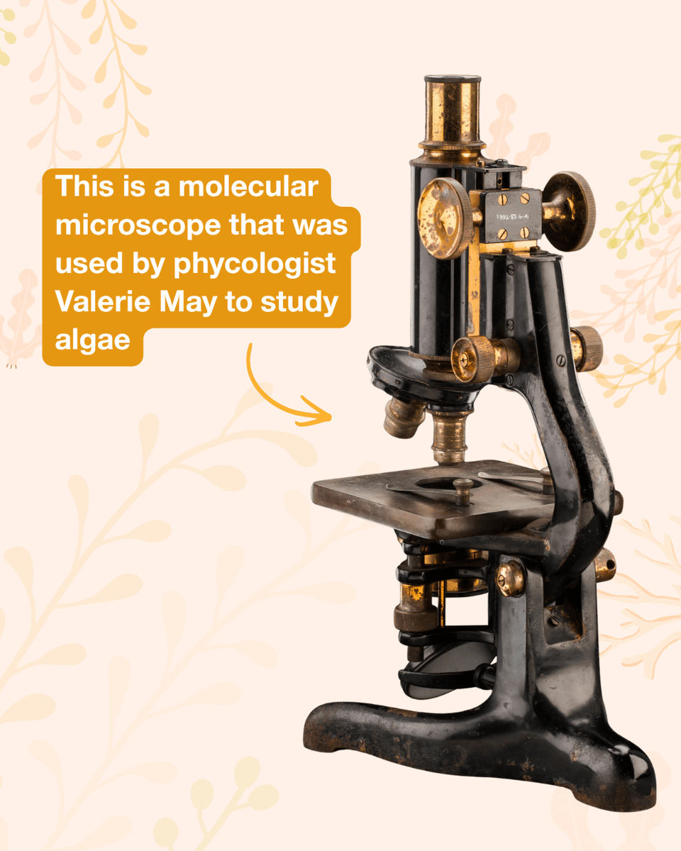 nma's tweet photo. Let's take a closer look at some of our favourite microscopes! 🔬
It's #NationalScienceWeek and we have some incredible scientific equipment in our collection.
Which one is your favourite? 🤔 https://t.co/seJWM9IyNU
