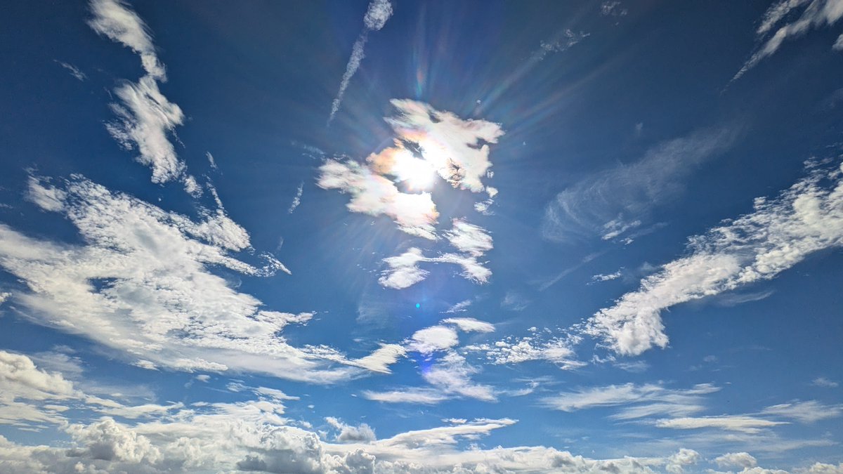 yu_to_Otk459's tweet photo. 今日の空は
眩しくてすごく綺麗だった
#見上げた空 https://t.co/aOiu15gcv4