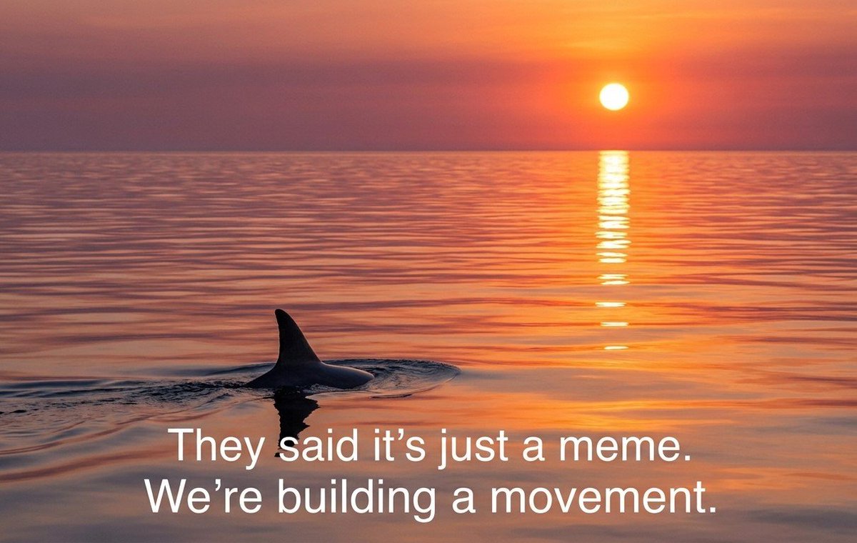 KING86CANADA's tweet photo. Nature is brutal but beautiful. Fraggle’s story shows the incredible emotional depth and intelligence of dolphins. Yes, we’re having fun on the timeline, but the endgame for $Fraggle is bigger than the charts.

Cc
​@blknoiz06 @AltcoinGordon 
​#CryptoCharity #MarineConservation https://t.co/JtVatHiWQi