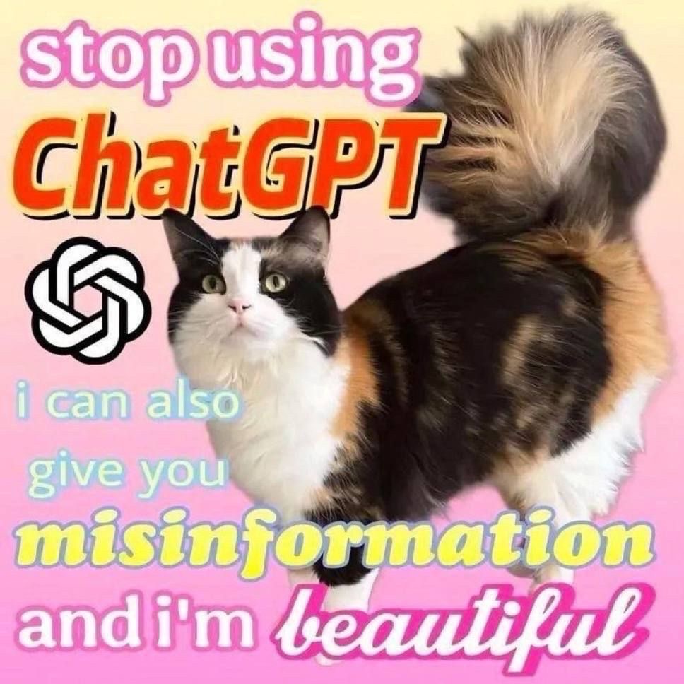 sillymeow4u's tweet photo. https://t.co/ozc8bdl4AB