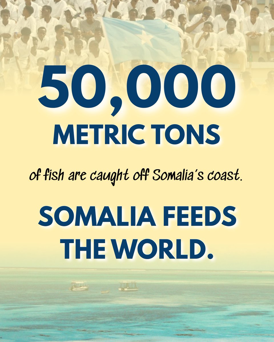 AFP_XIM's tweet photo. 50,000 metric tons of fish caught off Somalia's coast - Somalia feeds the world. Imagine what's possible once corruption and instability stop holding that potential back. 

#NewSomalia #AbshirForSomalia https://t.co/vpDpWIvRRq
