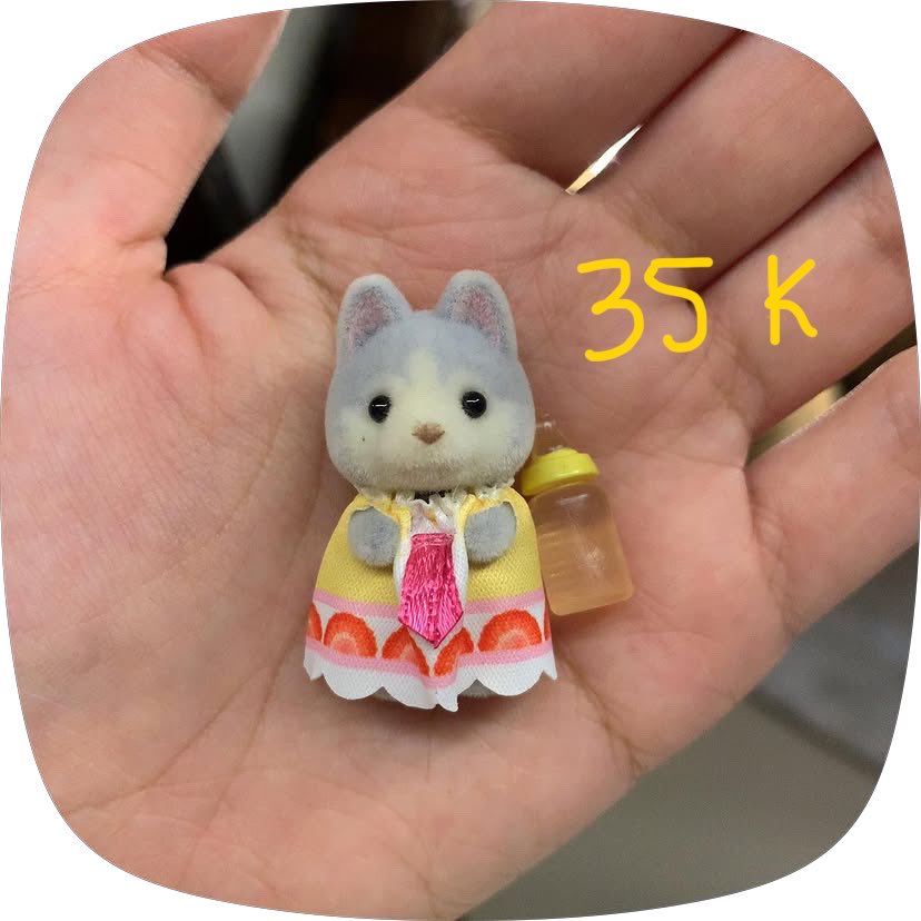 sisstweird's tweet photo. ꒰ 🛒 ꒱ wts sylvanian fennec fox pool fun trio, sylvanian cat latte fork rd ina 🫶🏻 

splitpay only 
୨୧ not for sensitive buyer/hnr &amp;&amp; no cancel 

𖦹  more condi dm 🫰🏻💕⭐️

⌗ sylvanian calico critters rd ina https://t.co/CfMuM1oH1y