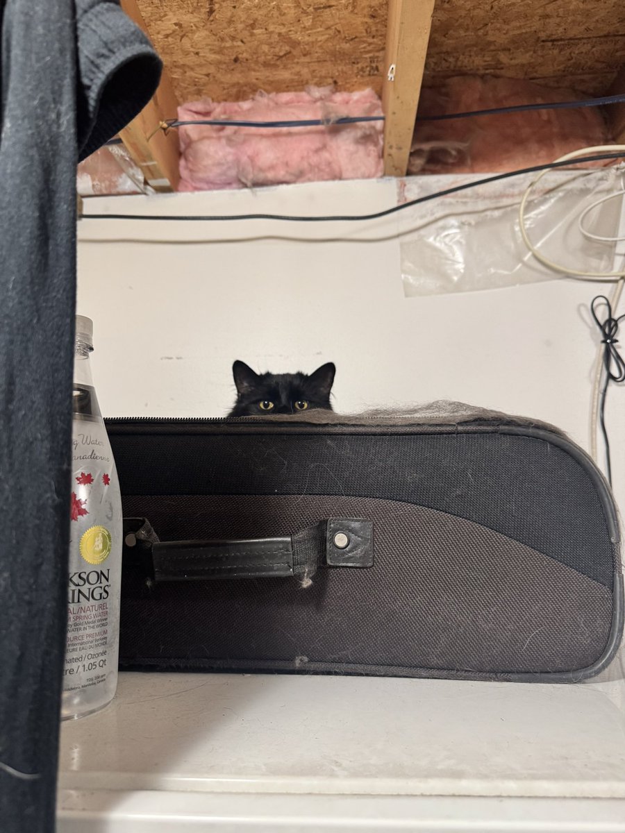 a6acoustic's tweet photo. everyone appreciate my son immediately https://t.co/RF8QQK3H4F