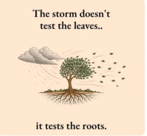 MajorWaheed's tweet photo. #Strength_Within #Wisdom #NoFear #MentalHealth #IAM
#be_strong #NoLookingBack #Determination #Mindfulness #MondayFeelings #Beliefe #MondayVibes #Mindset #MondayMotivation #Faith #Karma #Inspiring #Quotation
#Strong_Rooted #LifeMantra @KariJoys @gary_hensel @Abbas_Waheed
๐ฅ๐ด https://t.co/ph8AyFcFHX