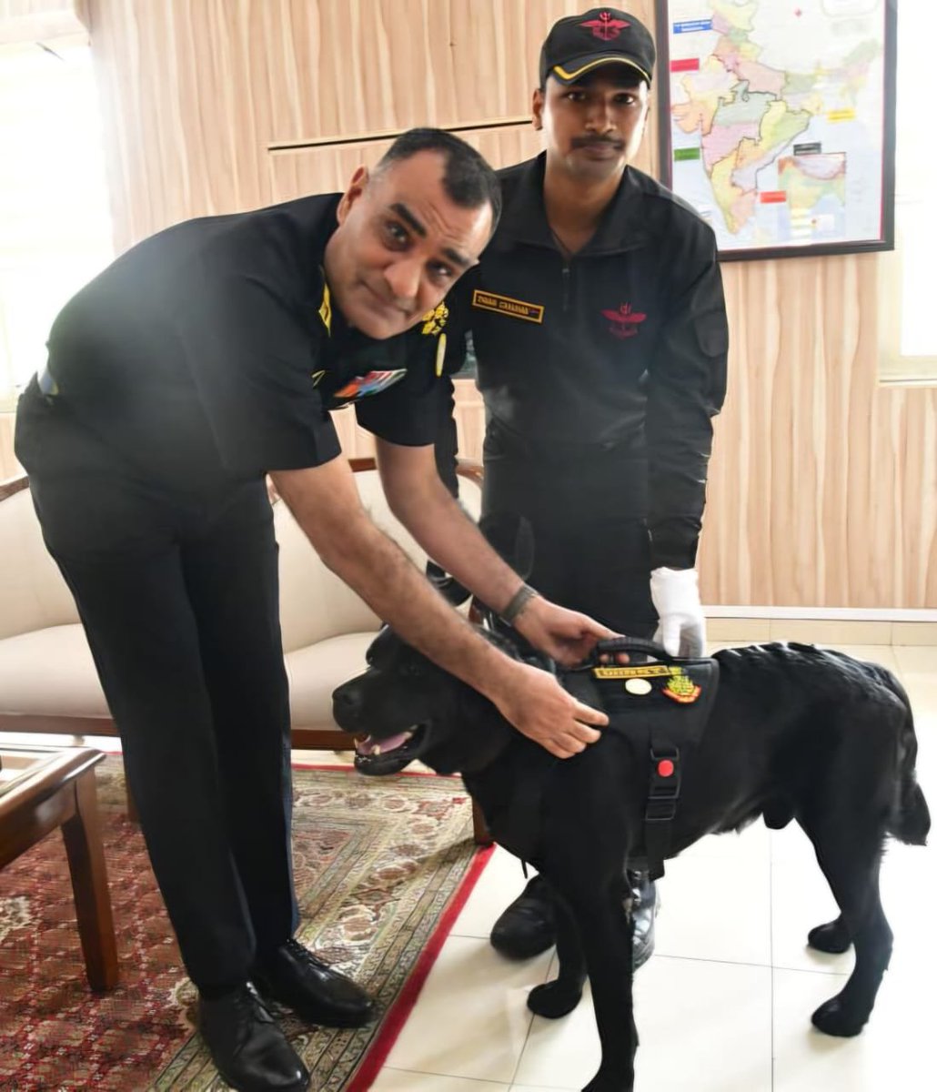 nsgblackcats's tweet photo. Bravo K9 Donny! 🐾🇮🇳

Explosive Detection K9 Donny of NSG K9 Unit has been awarded the Chief of Army Staff Commendation Card on Independence Day 2026 for exceptional technical aptitude, reliability and operational performance.

During RSP operations, Donny was deployed at Red Fort, New Delhi (10–11 Nov 2025) for sanitisation of the VBIED blast site, where he conclusively confirmed the presence of explosives. 

On 12 Nov 2025 at Khandawali, Faridabad, he sanitised a vehicle suspected to have been used for transportation of explosives linked to the Red Fort blast and again confirmed the presence of explosives.

A true testament to exceptional training, courage and operational readiness.

Proud of our four-legged warrior! 🇮🇳🐾