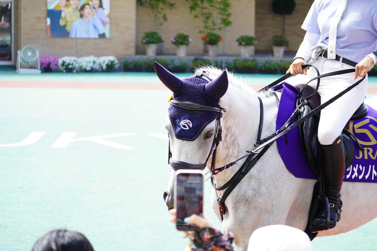 usagisou_fish's tweet photo. カメラ目線が大得意な、最早ファンサのプロである中京誘導馬セツメンノトビウオさん🐎✨

君からすれば人は小さいけれど、それでもこんなに沢山いると怖いこともあるだろうに。
伸びてきた沢山の人の手を優しく受け止めていた、優しい瞳の持ち主でした☺️

#セツメンノトビウオ https://t.co/wxg9HWmuEq