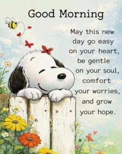 Sharon11641's tweet photo. https://t.co/2gSPw4x9OP