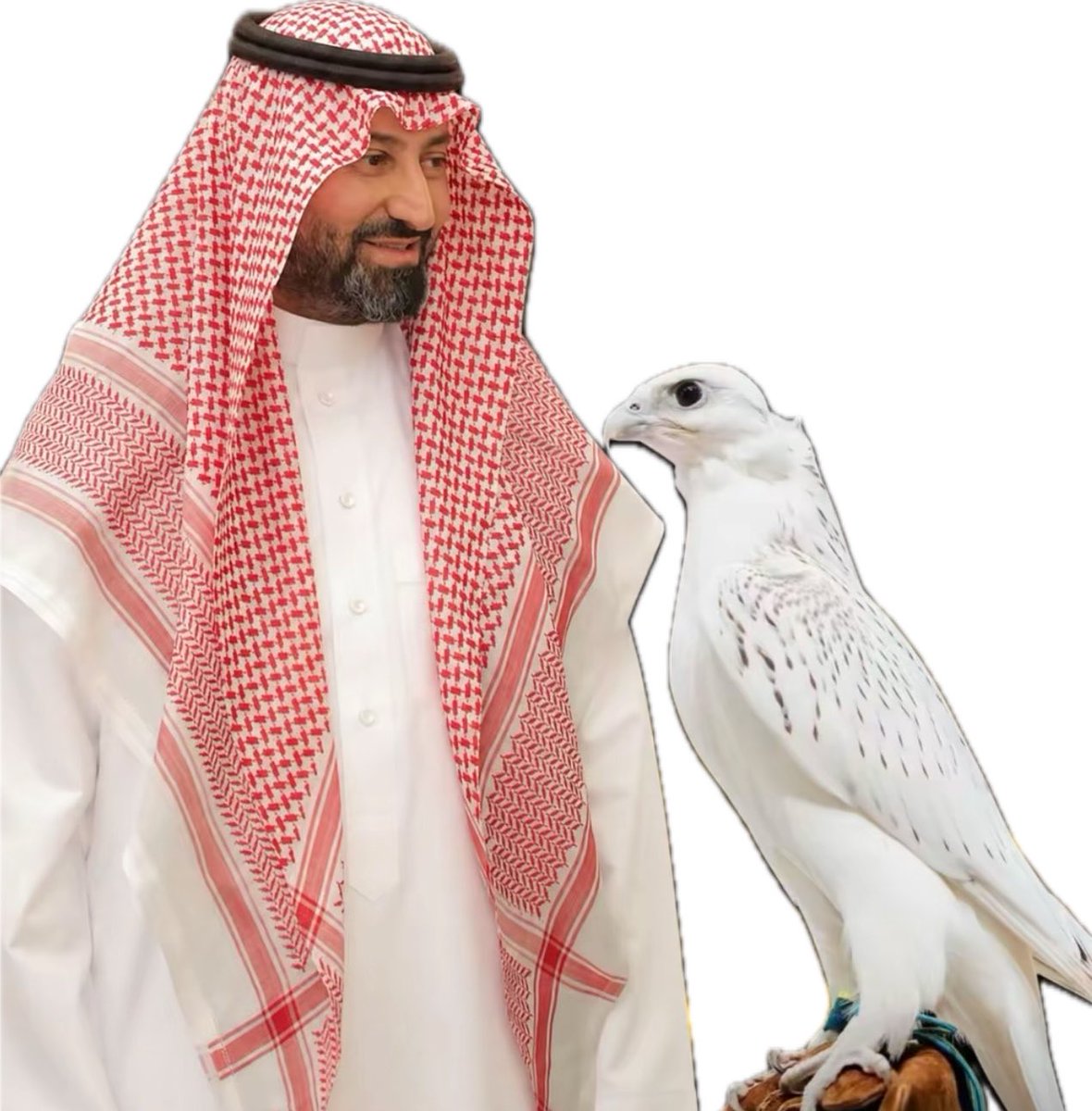alsaud1ksa's tweet photo. شهد مزاد الصقور
امتلاك صاحب السمو الأمير 
نايف بن سلطان بن محمد بن سعود الكبير
صاحب مزرعة نوفا فالكون، لطيرٍ من نوادر الطيور
بقيمة بلغت مليونًا وثلاثمائة ألف ريال.

أغلى صقر في العالم 🌏 
صفقة استثنائية تليق بنوادر الطيور وعشّاقها

الف مبروك لسموه 🤍🤍
@n_s_alkbeer https://t.co/5lDIU1t8Ns