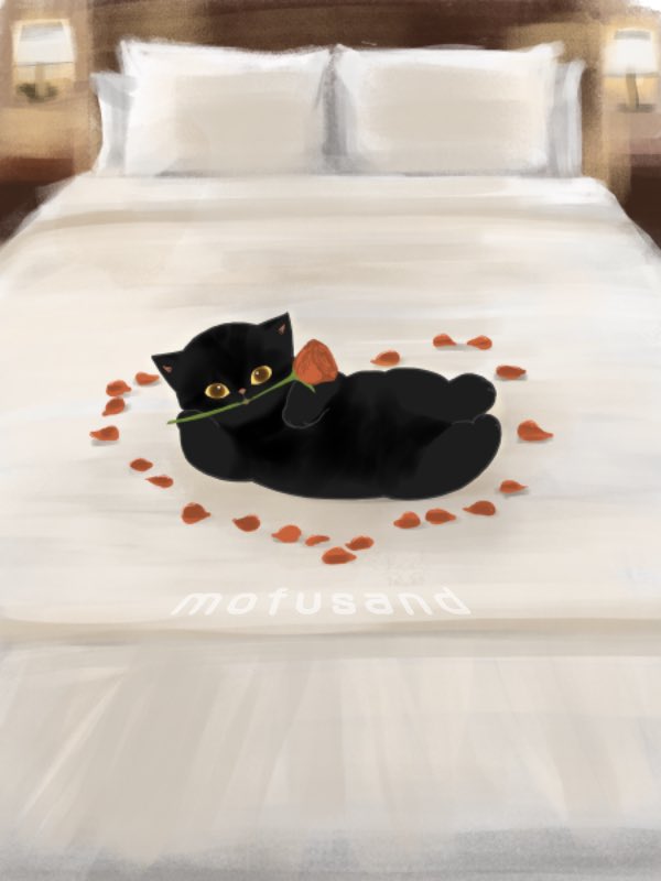 mofu_sand's tweet photo. #黒猫感謝の日 🐈‍⬛ https://t.co/pGAsGPSh0l