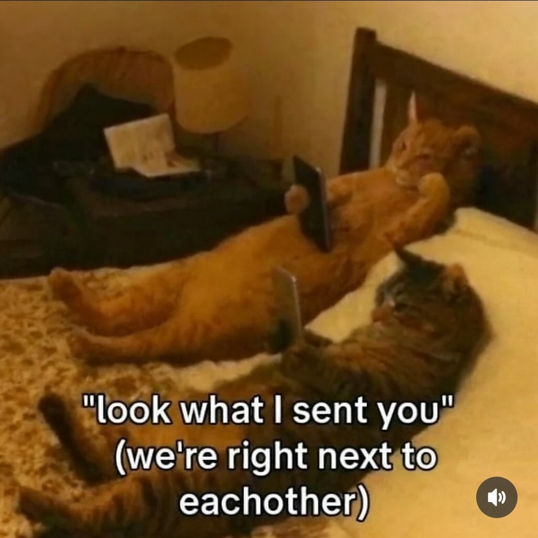sillymeow4u's tweet photo. https://t.co/f8sXSt2KK1