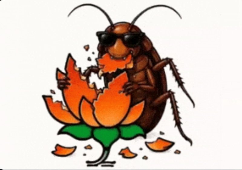 Frombiharse's tweet photo. @RKSahu15 https://t.co/aKFjTNe2Aa