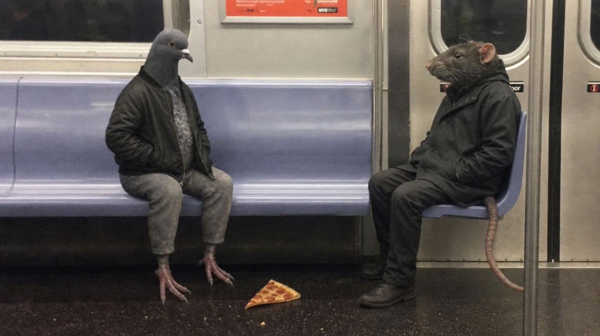 NonPigeonsol's tweet photo. negotiating the slice https://t.co/vn6z2npwMY