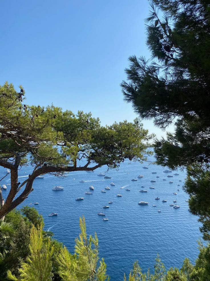 echoesofworld's tweet photo. Capri, Italy https://t.co/N8YGhNanrQ