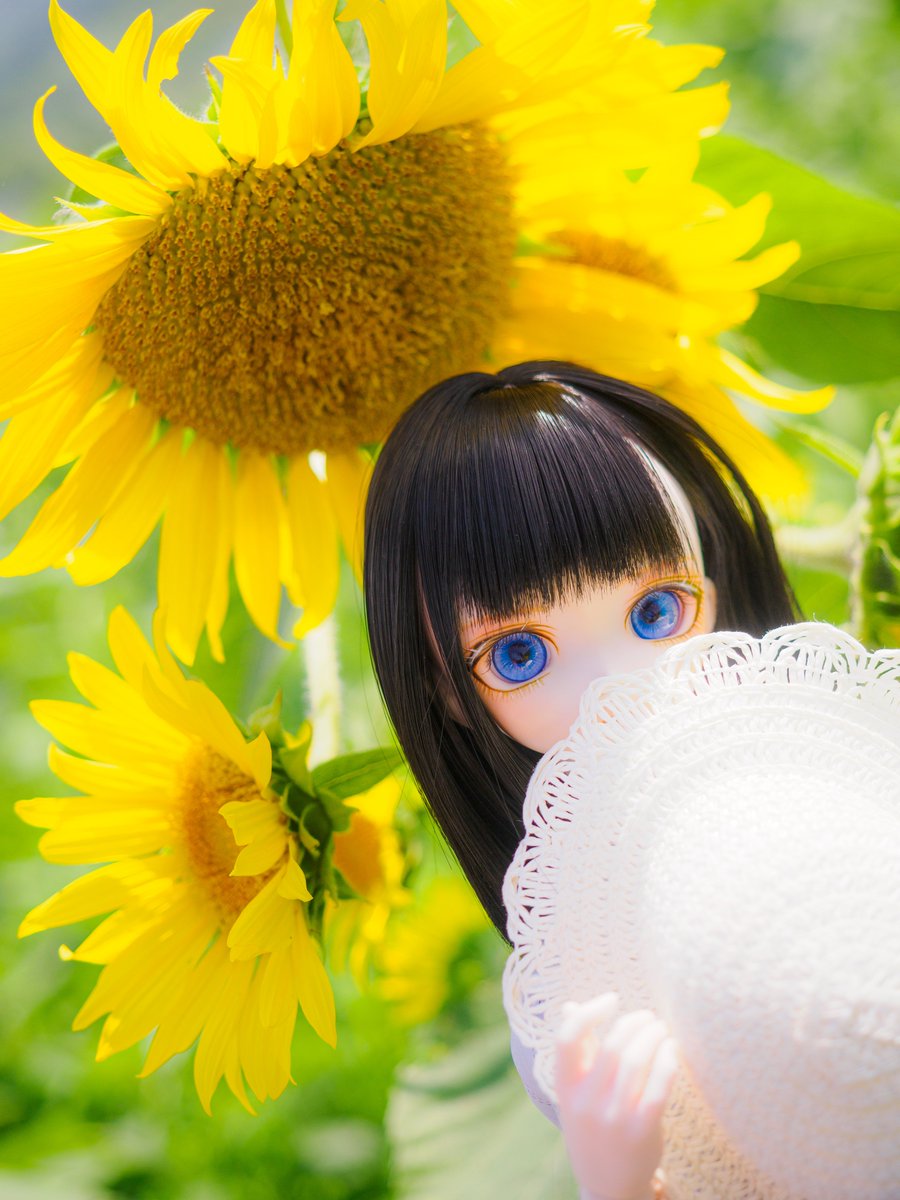 shiratorisan_V2's tweet photo. 本人登場画像でフォロワーさんめっちゃ増えてて複雑なのですが、うちのこたちはみんなめっちゃ可愛いのでたまにでも見てもらえたらすごく喜びます🙏 https://t.co/L7AUt36U8u