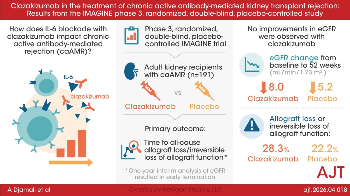 amjtransplant's tweet photo. 🚨 Editor’s Choice 🚨 
Djamali et al. report results from the IMAGINE phase 3 trial evaluating clazakizumab for chronic active antibody-mediated kidney transplant rejection.

🔗 https://t.co/JRJTXyR2F3

#KidneyTransplantation #TransplantRejection #AntibodyMediatedRejection https://t.co/bFgvRy0gLV