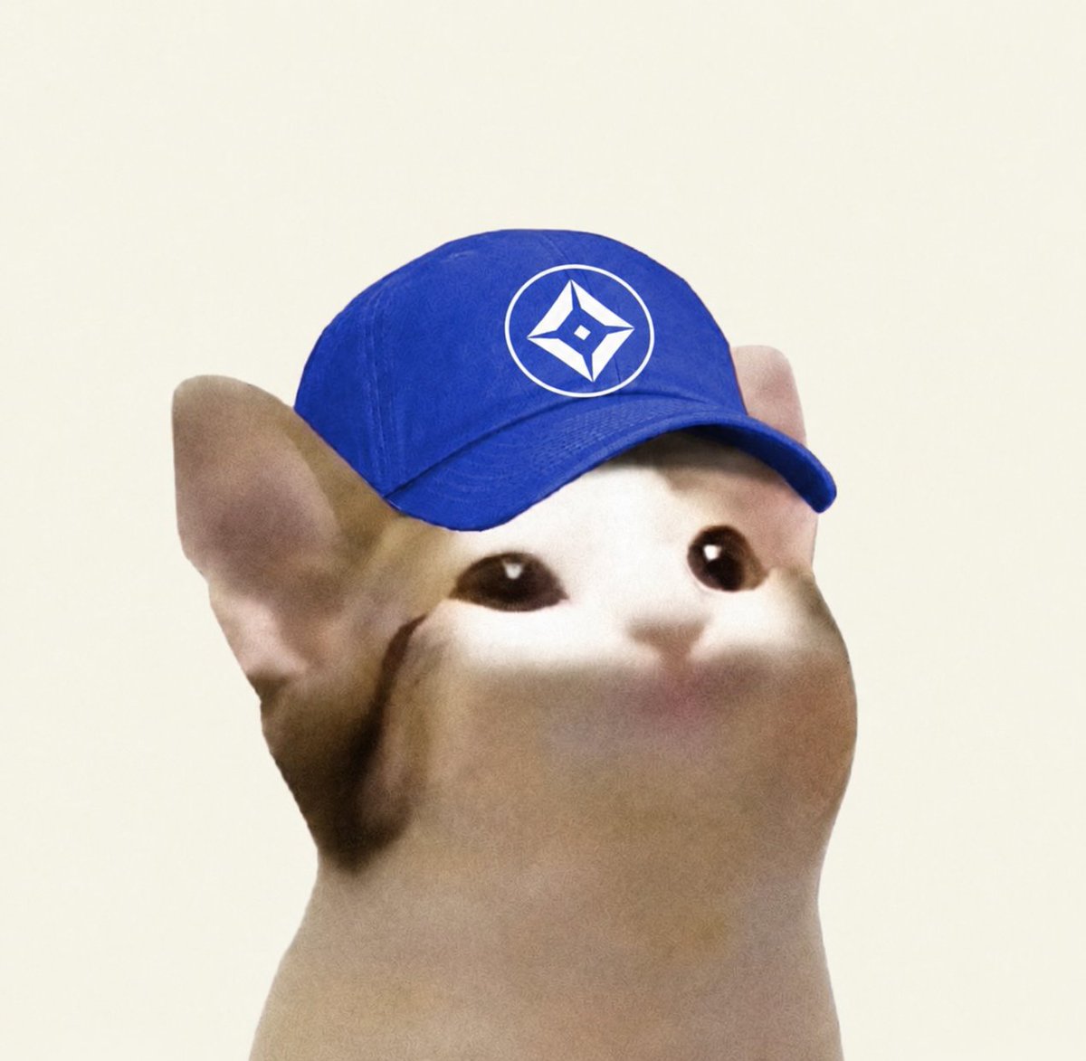 BasedPopCat_x's tweet photo. @BaseStonk whatcha think https://t.co/SZ1oVsLPpe