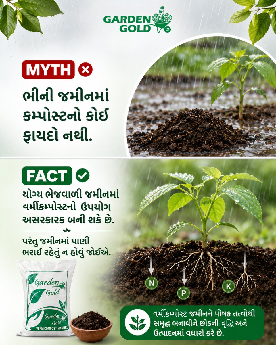 wormicompost's tweet photo. ચોમાસામાં માત્ર વરસાદ પૂરતો નથી! 🌧️🌱
ભારે વરસાદ પોષક તત્વો ધોઈ શકે છે. યોગ્ય ડ્રેનેજ સાથે વર્મીકમ્પોસ્ટનો ઉપયોગ જમીન અને છોડને સ્વસ્થ રાખવામાં મદદ કરે છે.

📞 +91 9426567778
🌐 https://t.co/W5ony2yWo3

#GardenGold #Vermicompost #OrganicFarming #MonsoonFarming #OrganicManure https://t.co/R7Kw2rB8ha