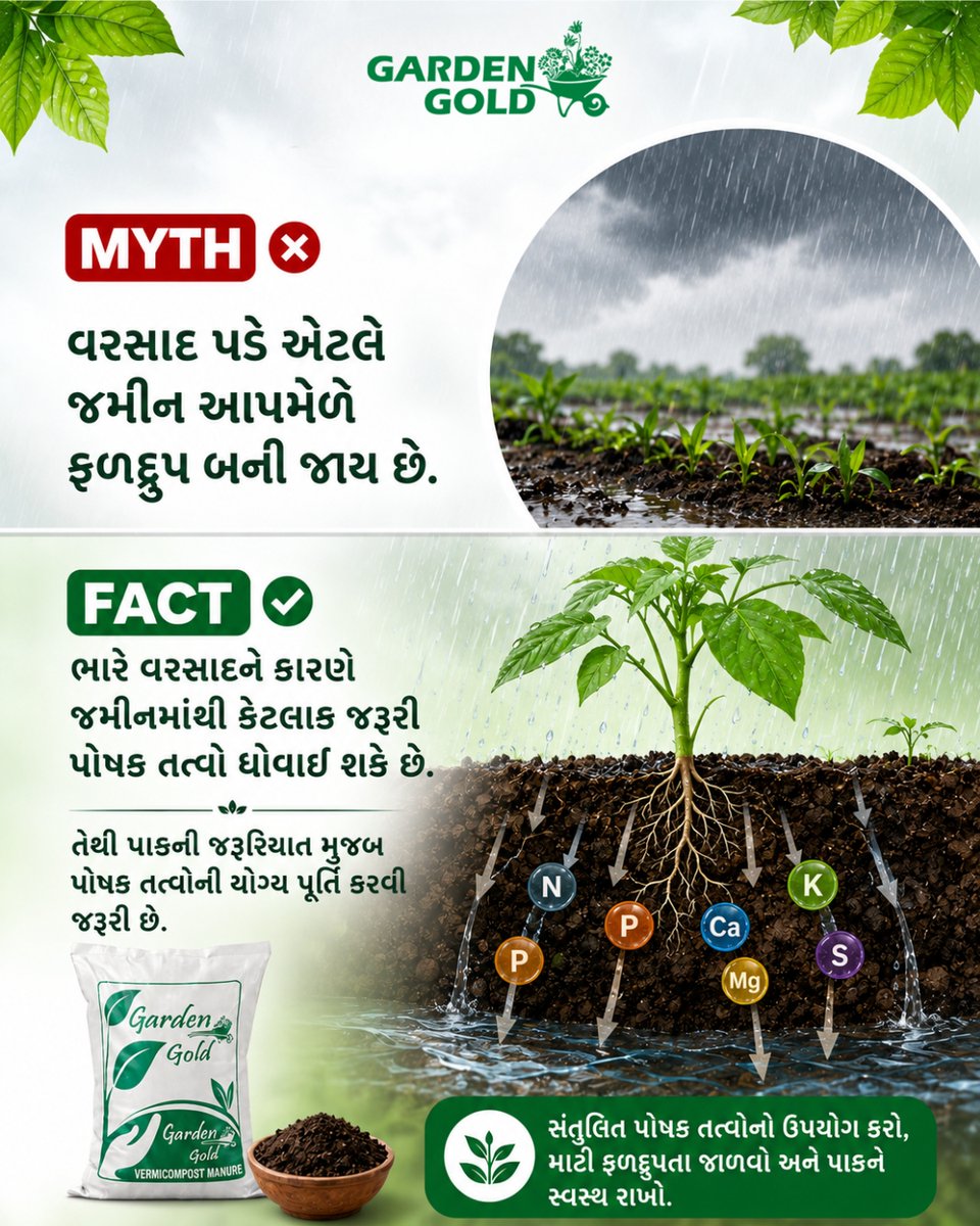 wormicompost's tweet photo. ચોમાસામાં માત્ર વરસાદ પૂરતો નથી! 🌧️🌱
ભારે વરસાદ પોષક તત્વો ધોઈ શકે છે. યોગ્ય ડ્રેનેજ સાથે વર્મીકમ્પોસ્ટનો ઉપયોગ જમીન અને છોડને સ્વસ્થ રાખવામાં મદદ કરે છે.

📞 +91 9426567778
🌐 https://t.co/W5ony2yWo3

#GardenGold #Vermicompost #OrganicFarming #MonsoonFarming #OrganicManure https://t.co/R7Kw2rB8ha