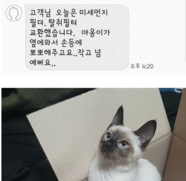 blackbird_0902's tweet photo. 고객님 야옹이가 옆에 와서 손등에 뽀뽀해주고요
크고 넘 예뻐요.. https://t.co/wIhjjj5Rfu
