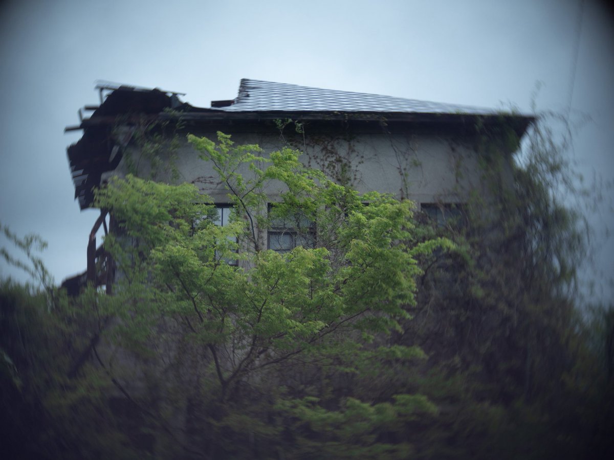 photo_kenji's tweet photo. #snap
#snapshot
#スナップ
#toylens
#トイレンズ
#slrmagic https://t.co/EaTFJG4DQH