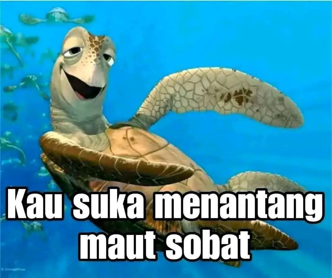 DyasRahmatullah's tweet photo. @kobokanaeru https://t.co/bHbjKDMIZv
