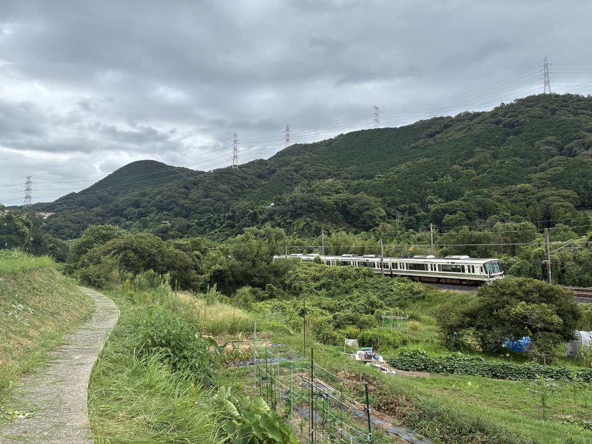FreeBirdEye's tweet photo. 河内堅上駅へ抜ける途中で明神山に沿って走るJR大和路線、レトロな字体の駅名がいつ見てもイイ♪ https://t.co/iMPJHejcCt