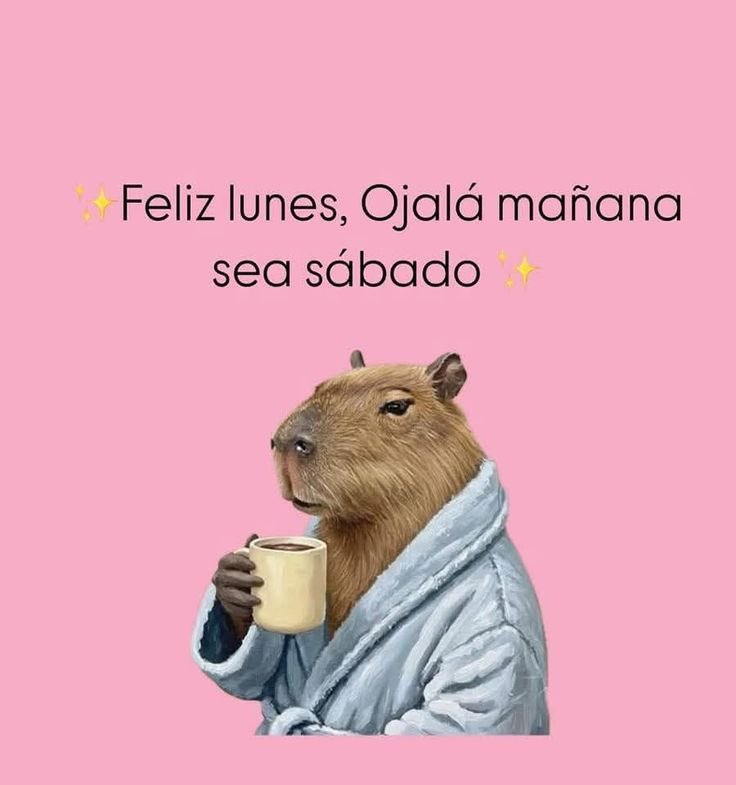sele_nuska's tweet photo. #Lunes☕️✨🙌🏼 https://t.co/2K9wedobpP