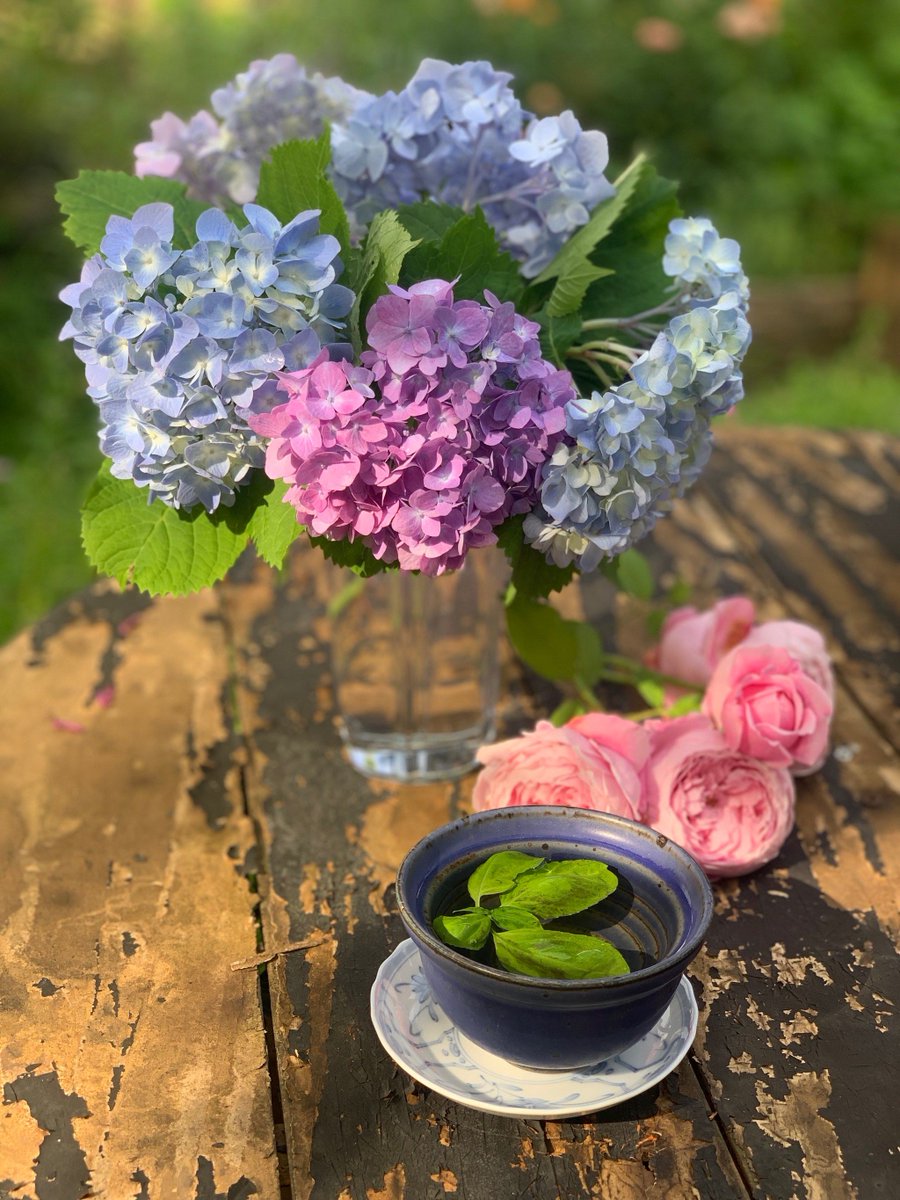 MilfordCleghorn's tweet photo. Neighborly win! Shared our homemade apple pie u0026 ended up swapping garden herb tips  Made a new friend + got fresh basil—win-win!， https://t.co/Oah1pKkjT2
