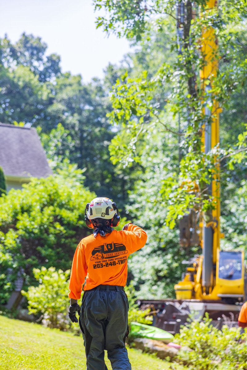 KJTreeService's tweet photo. Clear communication is the foundation of a safe, efficient job site. 🌳🤝
-
-
-
#KJTreeService #TreeCare #TreeService #JobSiteSafety #Teamwork https://t.co/cn5ascHZSy