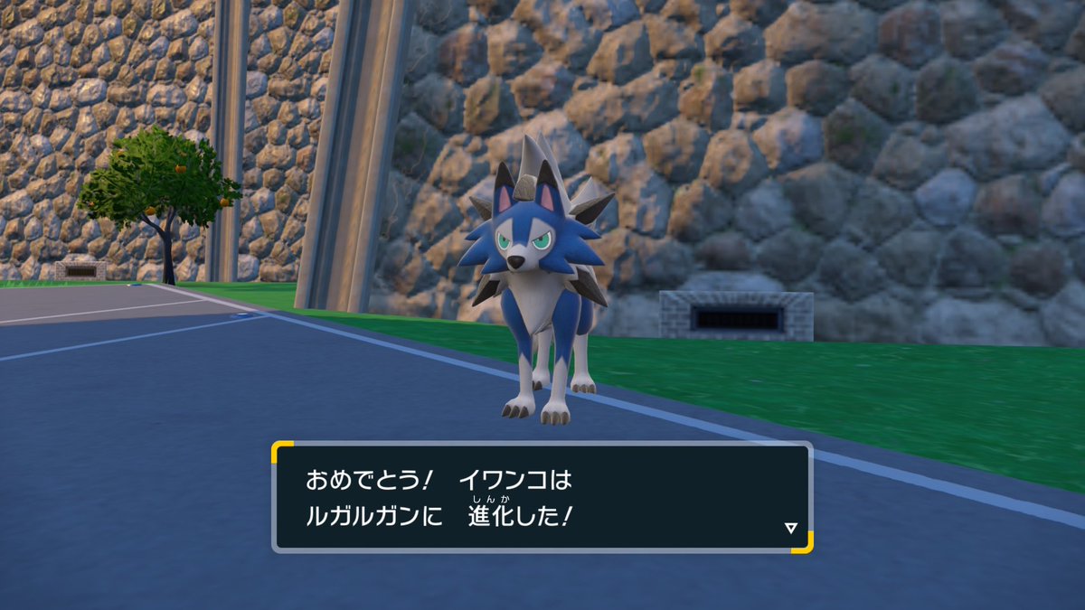 shuichi60's tweet photo. 青い犬になりました
#NintendoSwitch #ポケモンSV https://t.co/v80CUo6csP
