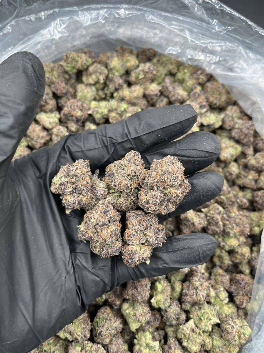 Dallasbuds1's tweet photo. Weed Trinity Park, Weed Design District North, Weed Bluffview, Weed Devonshire, Weed Greenway Parks, Weed Prestonwood, Weed West End, Weed Arts District, Weed Fair Park, Weed Klyde Warren Park, Weed Turtle Creek. https://t.co/fxN9wMeYdn