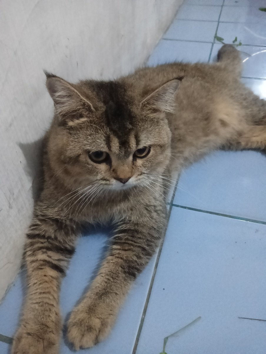 eastspce's tweet photo. se gak mau itu deket aku gasiii ini https://t.co/LBzRbS4Wsy