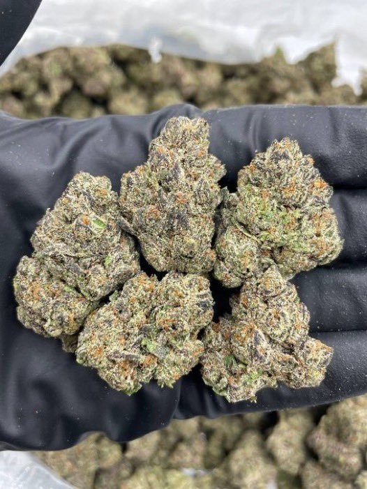 Dallasbuds1's tweet photo. Weed White Rock Lake, Weed Lakewood, Weed Preston Hollow, Weed NorthPark Center, Weed Dallas Farmers Market, Weed Reunion District, Weed Dallas Market Center, Weed AT&amp;T Discovery District. https://t.co/Br8Quh96GS