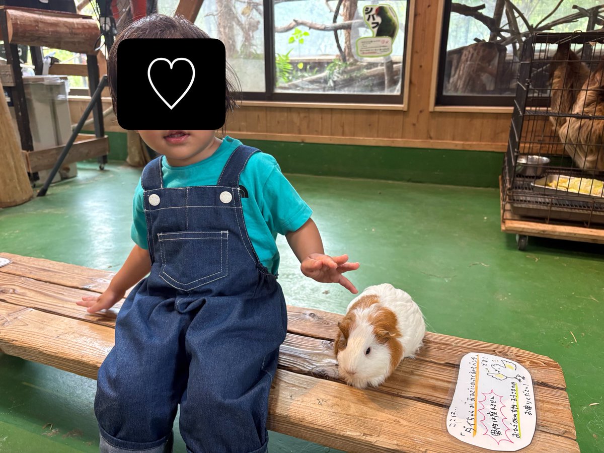 a_tan7113's tweet photo. 父母、お盆はバリバリ仕事だった為、盆明けに県内大移動で遊び尽くした✌️ https://t.co/CYcGHBC64M