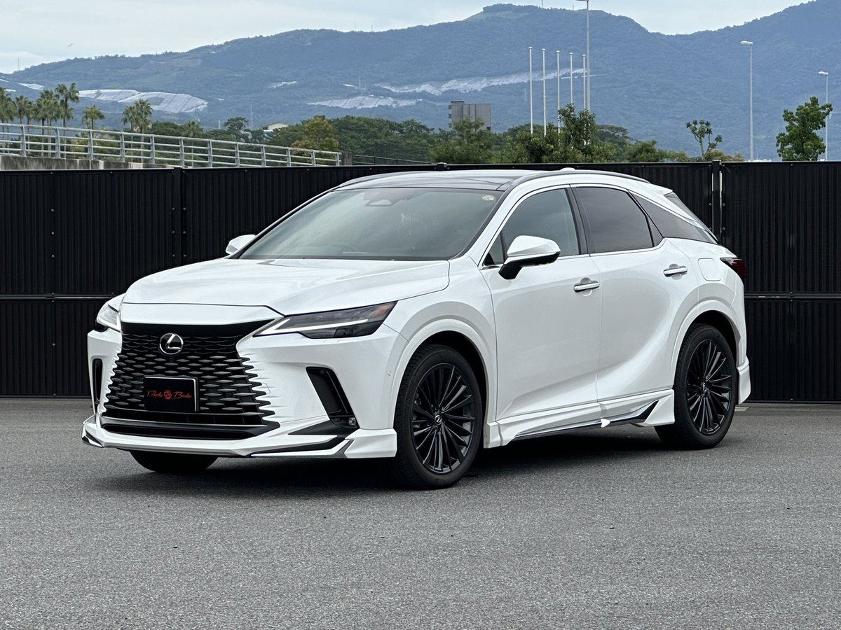 Investor_anoyr's tweet photo. そんなとんかつさんにオススメなのがレクサスRX350hバージョンL（FF）

レクサスRXはリセールバリューがランクルやアルファードに次ぐ最強クラスで、子供も余裕を持って乗せられて、燃費もWLTCで20km/L

4WDモデルではなくFFを選ぶのがポイント。もちろん色は「白」で☺️ https://t.co/mgyihxILDU
