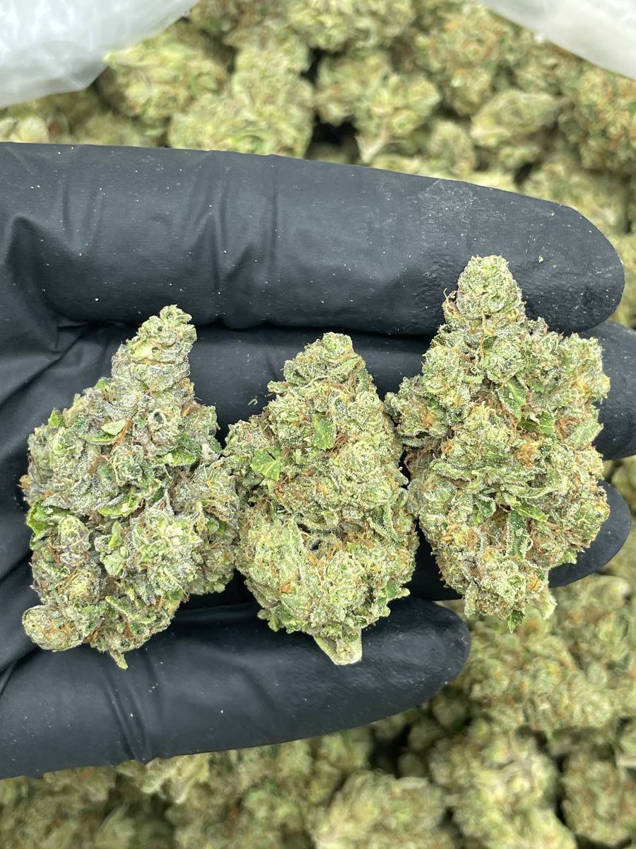 Dallasbuds1's tweet photo. Weed Prestonwood Creek, Weed Bent Tree, Weed Far North Dallas, Weed Northwood Hills, Weed Glen Abbey, Weed Campbell Green, Weed Preston Green, Weed Chapel Downs, Weed Timberglen, Weed Bent Tree Village. https://t.co/fEA1KYoYHC