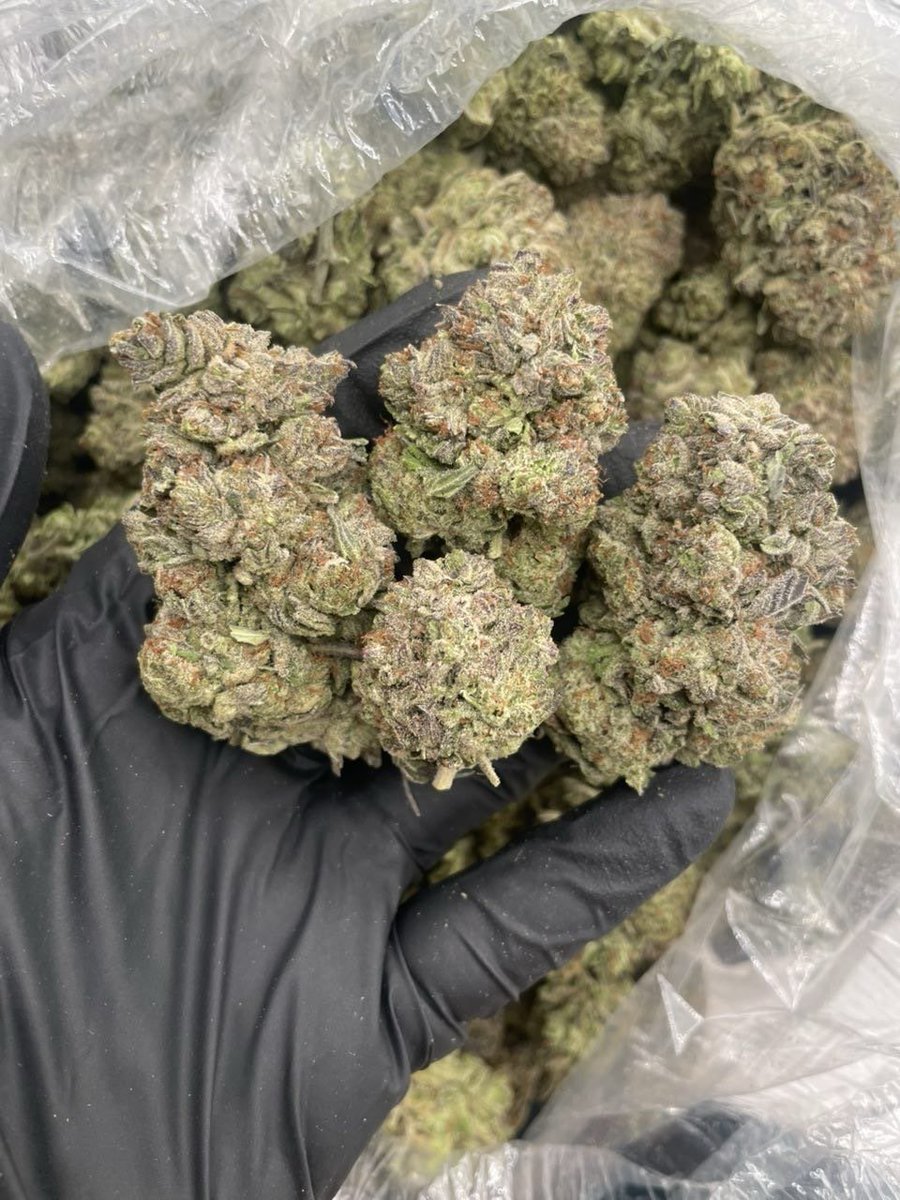 Dallasbuds1's tweet photo. Weed Highlands North, Weed Hillcrest Estates, Weed Royal Hills, Weed Valley View, Weed Sparkman Club Estates, Weed White Rock Valley, Weed Lake Park Estates, Weed Forest Meadows, Weed Casa View Haven, Weed Claremont Park. https://t.co/LD8xRyxb1K