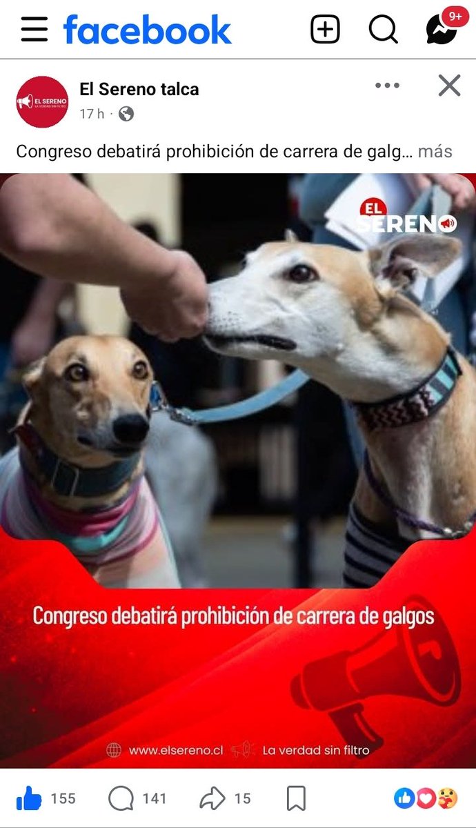 Dpm_Chile2020 tweet picture