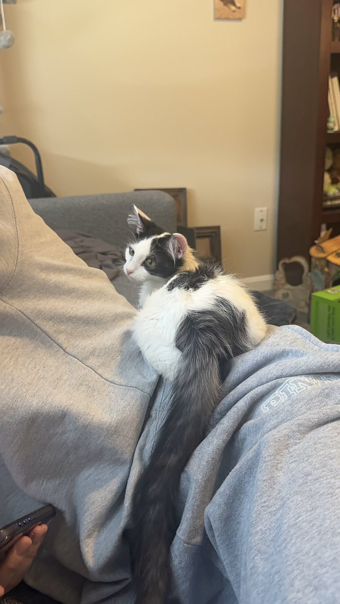 R3DGUITAR's tweet photo. he cries soooo hard every time we put him back in jail because he’s not allowed to roam free yet and it makes me feel like shit i’m so sorry wormy 😭😭 https://t.co/hq5sQttnXC